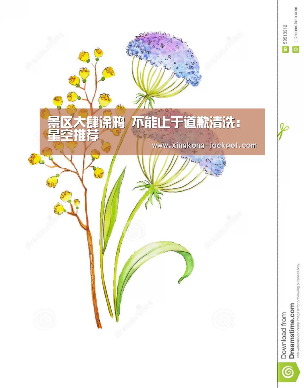 星空推荐